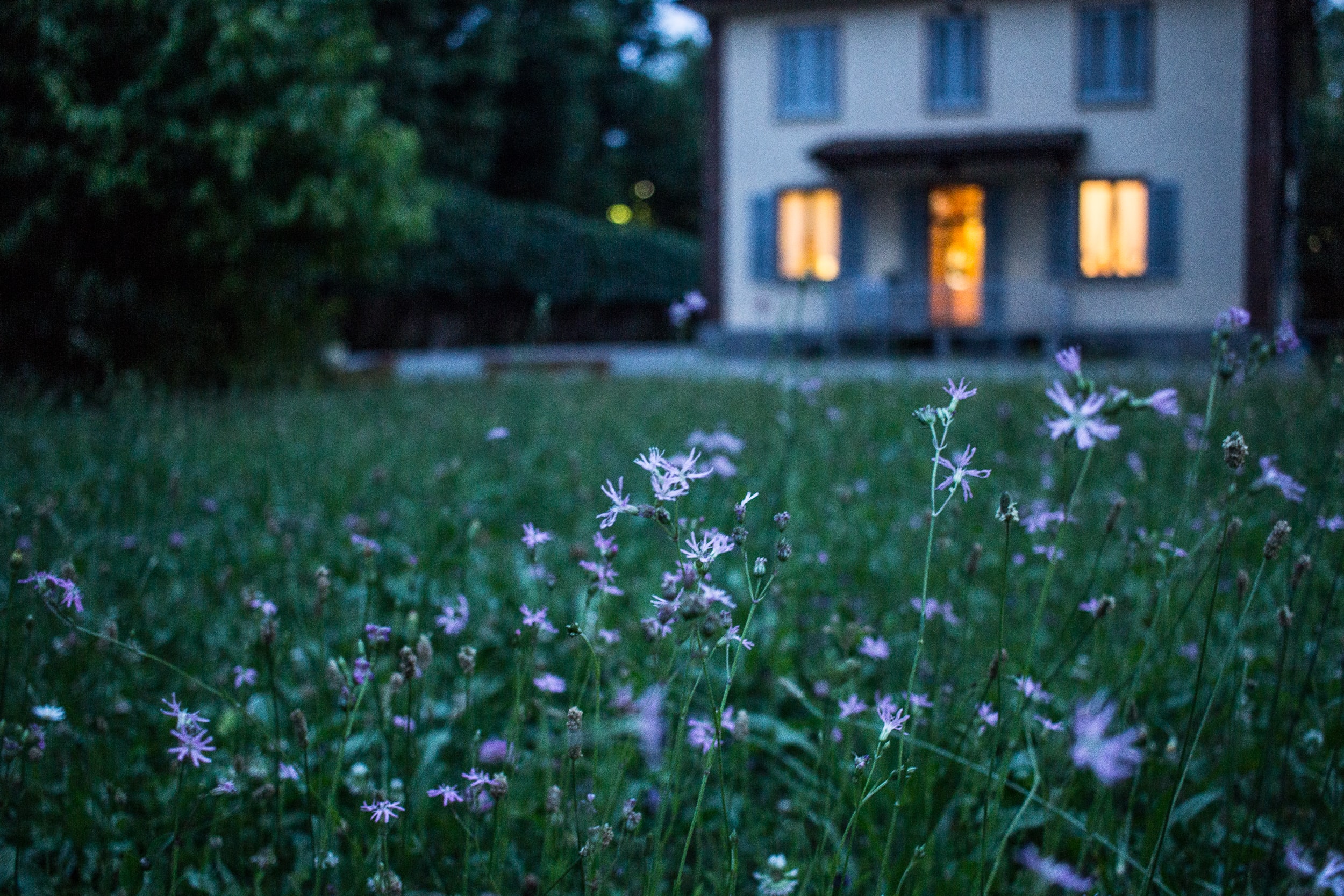 casa con giardino.jpg